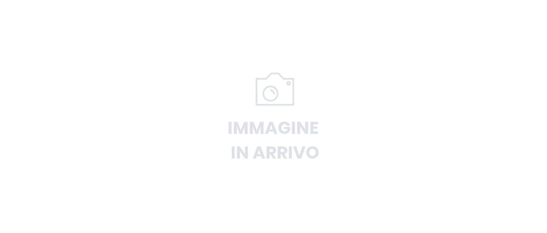 Nuova Clio(1440 × 616 Px)